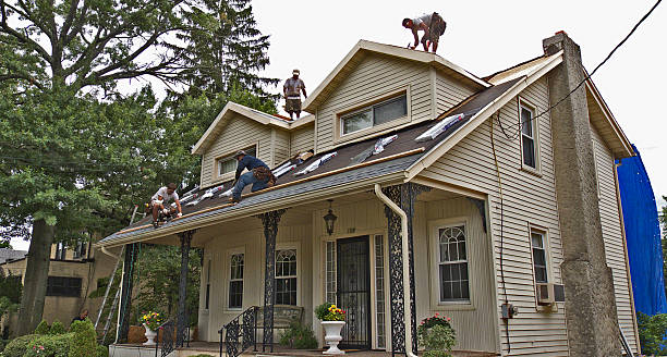 Best Gutter Installation and Roofing  in Irving, TX